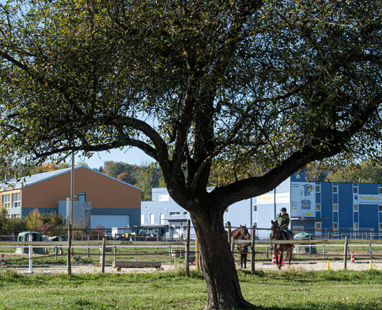 La halle est divisée en une trentaine de lots destinés aux PME de la région, dans un esprit de coworking. © ARC Jean-Bernard Sieber