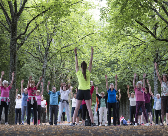 Gratuite, la prestation «Seniors en forme» offre durant l’été des séances hebdomadaires d’activité physique sans inscription, dans plusieurs parcs de Lausanne. Yves Leresche
